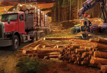 Forestry 2017 – The Simulation (2016) RePack
